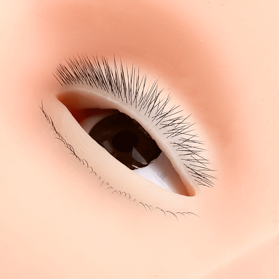 Hot 4-Layer Mini Mannequin voo - Eyelash Extension Open Eye recensie en prijs